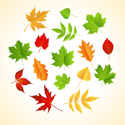 Color leaf design vector material
