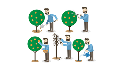 5 Nursing fruit gardener Vectors