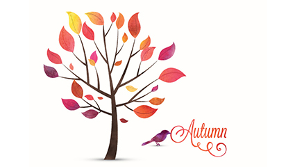 Autumn trees and birds vector material