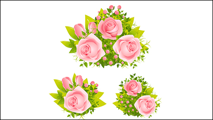 Group 3 beautiful pink roses vector material