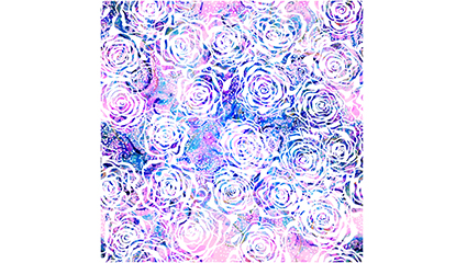 White roses pattern seamless background vector