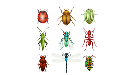 9 kinds of insect vector design material