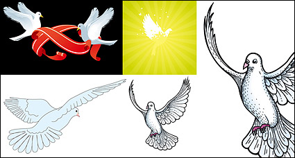 pigeons vector material