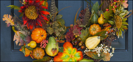 Windows picture material-3