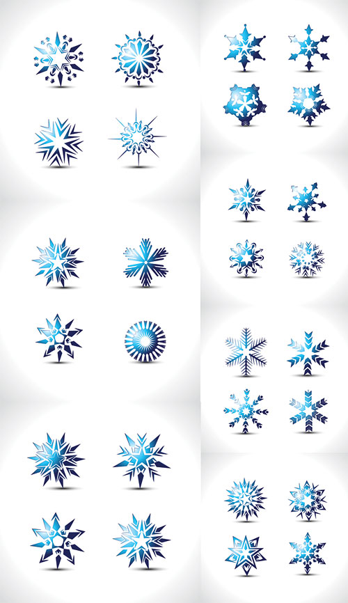 Vector special snowflake