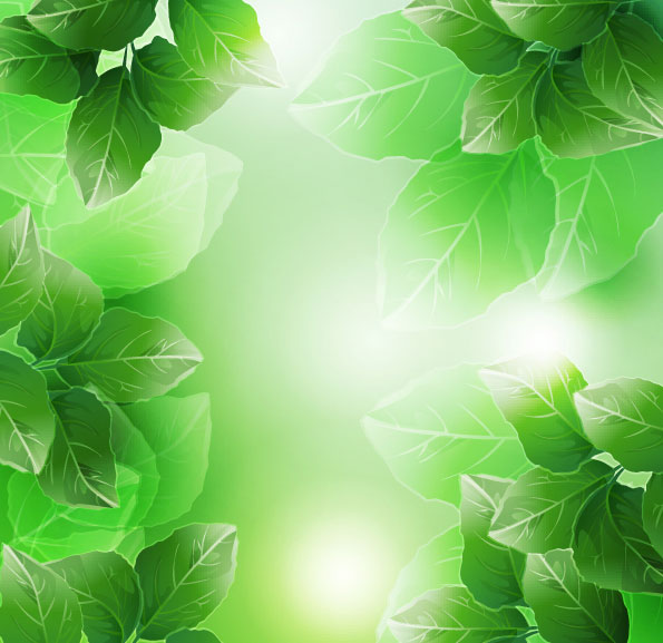 Beautiful green leaves vector material
