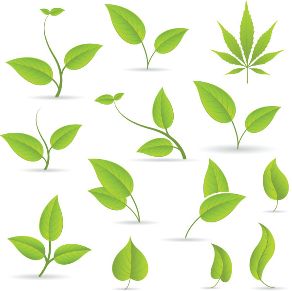 Leaves material 01 - vector material