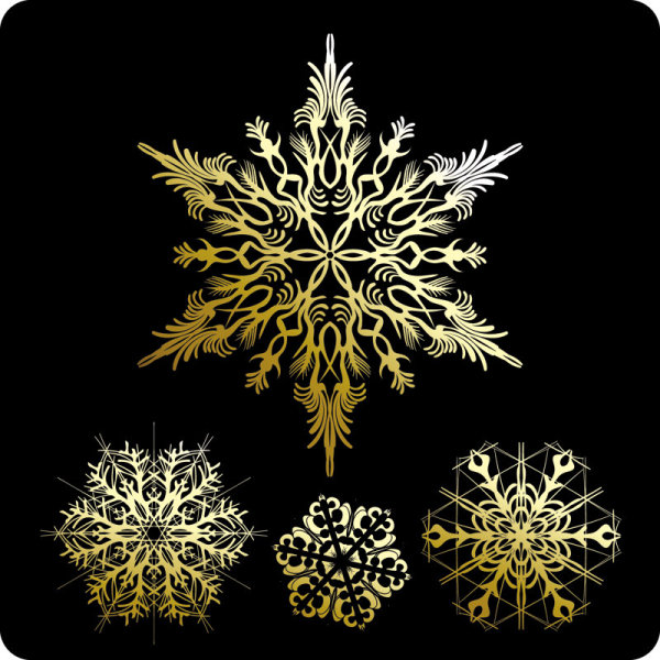 Beautiful snowflake pattern 01 - vector material