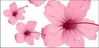 Water with pink flowers vector material