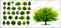 A number of trees vector material