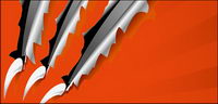 Claws cut through the paper material vector