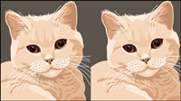Animal material cat 04 - vector