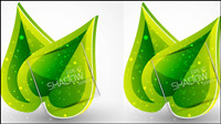 Spring green leaves 01 - Vector