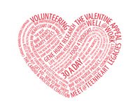 British Heart Foundation - Annual Review 2008