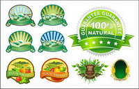 Green leaves, leaves, wheat, wheat, fields, Manor