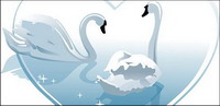 White Swan Vector
