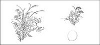 Line drawing of flowers -5