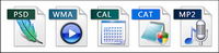Computer software of various file formats icon png