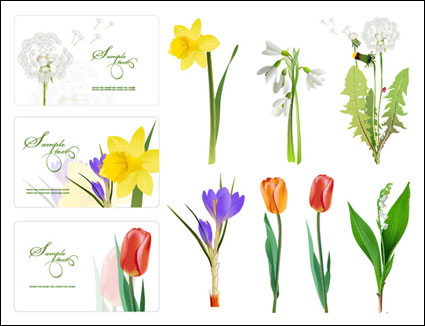 Some flowers Vector			