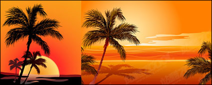 Coconut beach sunset shadow vector