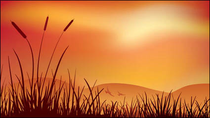 Evening vector material