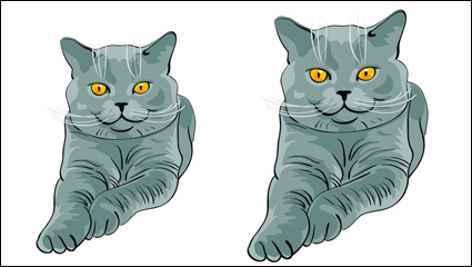 Animal material cat 02 - vector
