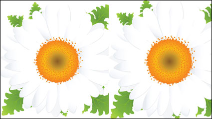 Beautiful small flowers vector material -2