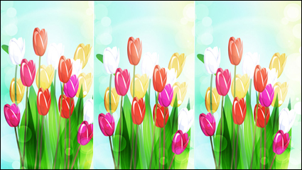 Beautiful flowers vector material -4 