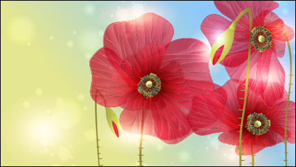 Exquisite flowers 05 - vector material