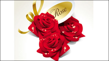 Beautiful roses 03 - vector material